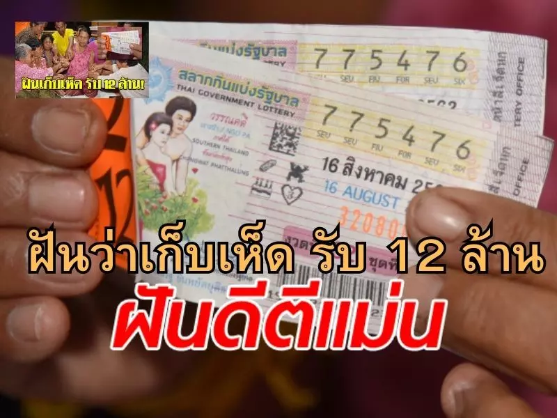 ฝันว่าได้เก็บเห็ดปลวกตีเป็นเลขเด็ด ฝันว่าเก็บเห็ด