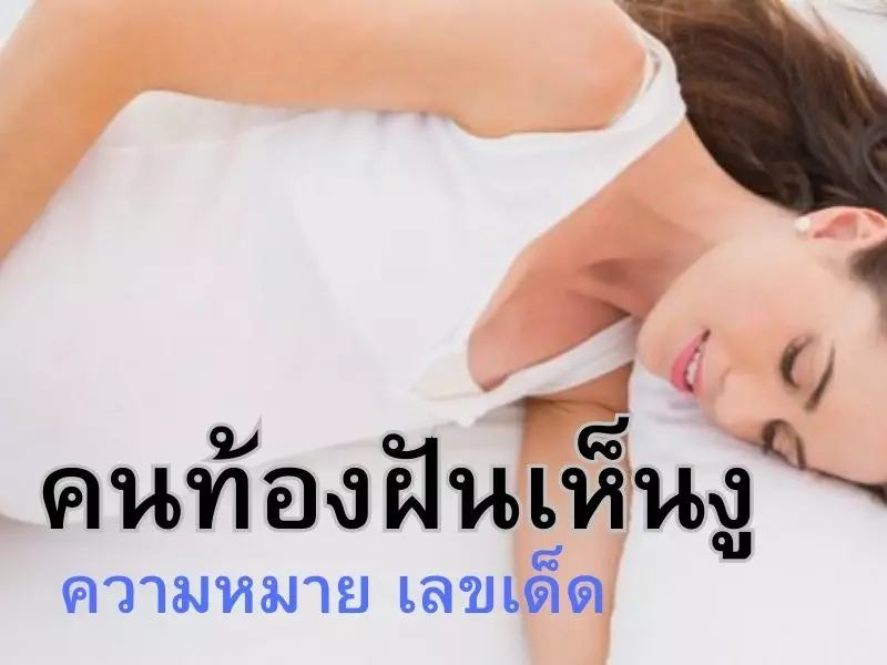 คน ท้อง ฝัน เห็น งู ตีเลขเด็ด ทำนายความฝันดีหรือไม่ดี คนท้องฝันเห็นงู