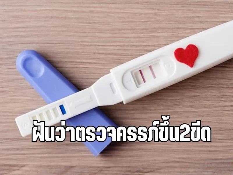 ฝัน ว่า ท้อง เลข เด็ด Pantipเล่าประสบการณ์ตรง ฝันว่าตรวจครรภ์ขึ้น2ขีด