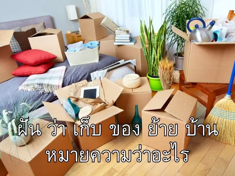 ฝัน ว่า เก็บ ของ ย้าย บ้านหมายความว่าอะไร ฝัน ว่า เก็บ ของ ย้าย บ้าน