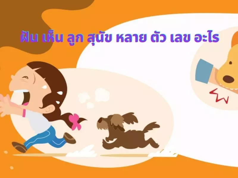 ฝัน เห็น ลูก สุนัข หลาย ตัว เลข อะไร ฝันเห็นสุนัขหลายตัววิ่งไล่