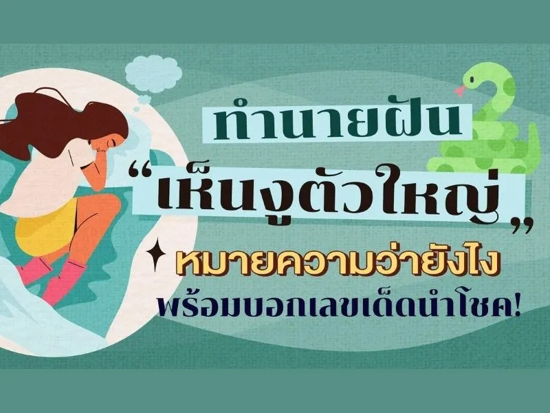 ฝันเห็นงูเหลือมตัวใหญ่มากตีเป็นเลขเด็ดมีอะไรบ้าง ฝันเห็นงูเหลือม