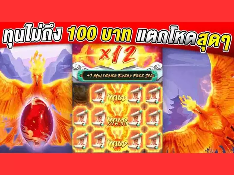 รีวิวฟีนิกซ์ไรส์ Fun88ภาพรวมของเกม ฟีนิกซ์ไรส์ Fun88