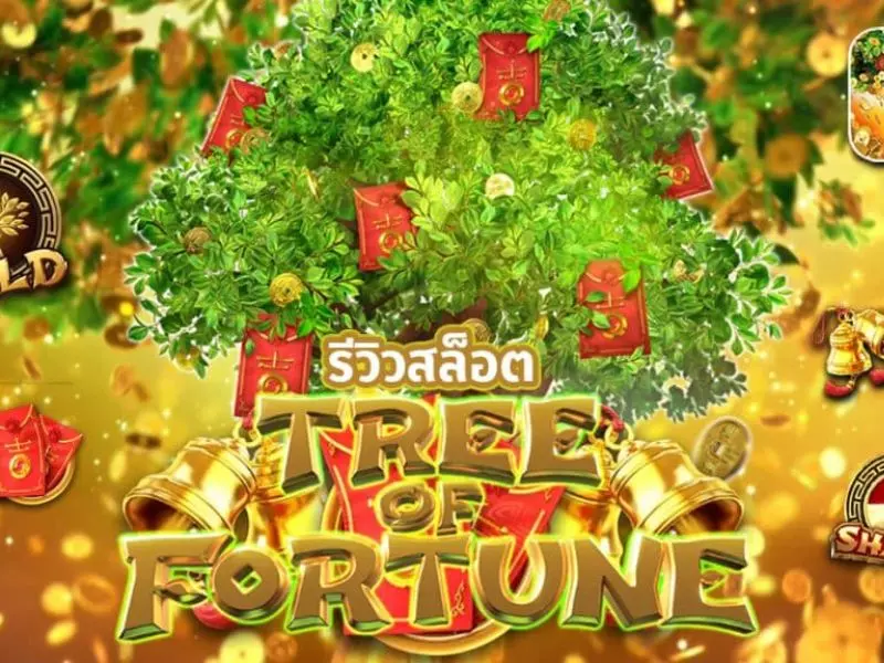 รีวิวต้นไม้แห่งโชค Fun88ที่ขอกันมามากมาย ต้นไม้แห่งโชค Fun88