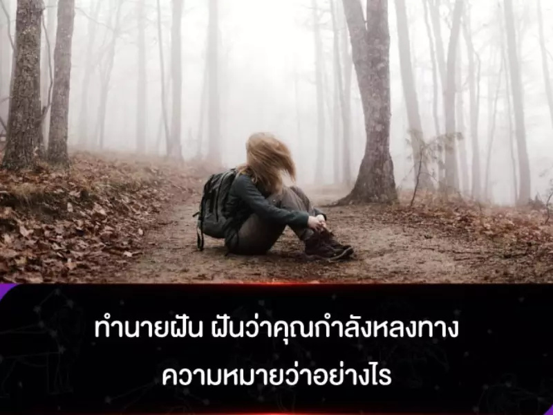 ฝัน ว่า หลง ทาง หา ทางออก ไม่ เจอพร้อมเลขเด็ด ฝัน ว่า หลง ทาง กลับ บ้าน ไม่ ถูก เลข เด็ด