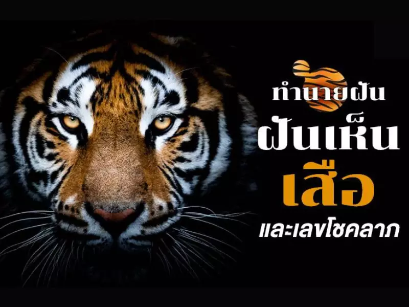 ฝันเห็นเสือทำหนายความฝัน เลขเด็ด ฝัน เห็น เสือ ตี เป็น เลข อะไร