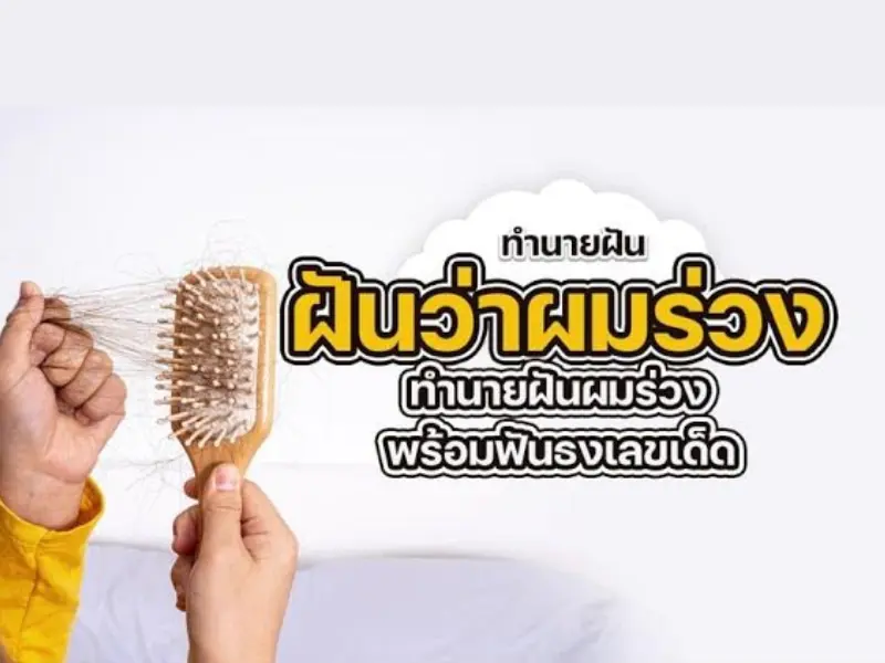 ฝันว่าผมร่วงเป็นกระจุก เลขเด็ด ฝันว่าผมร่วงเป็นกระจุก