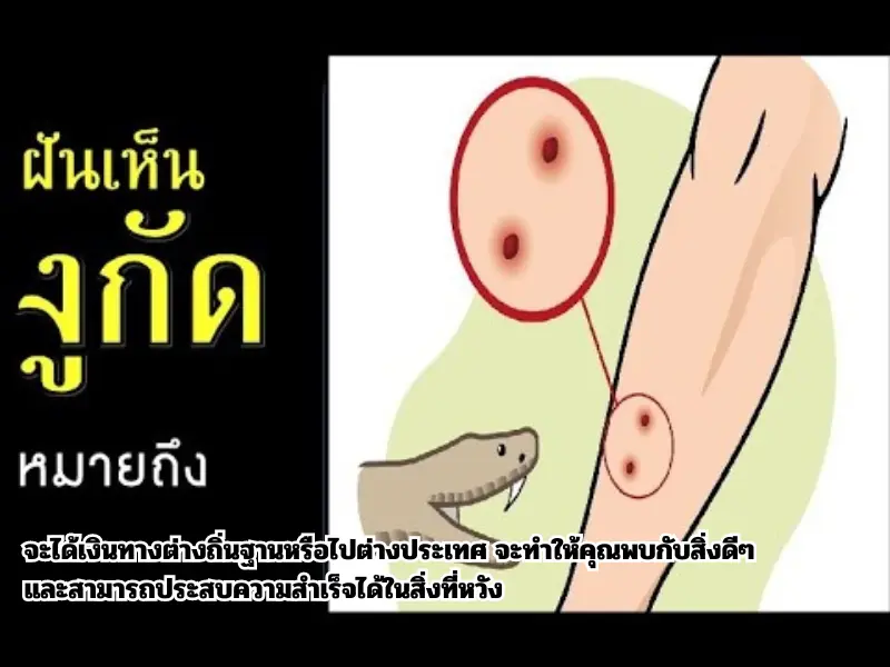 ความหมายพร้อมเลขเด็ดฝันว่างูกัดแต่ไม่เป็นไร ฝัน ว่า โดน งู กัด เท้า